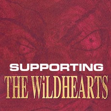 Supporting The Wildhearts